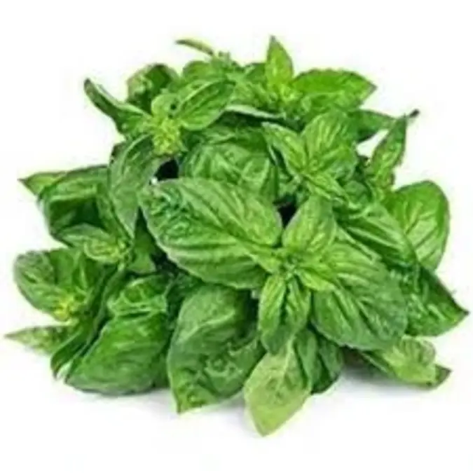 Basil Herbs 50G